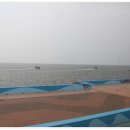 장춘해변횟집 이미지