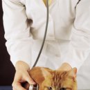 동래종합동물병원 이미지