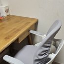 에이루 | 초등 저학년 첫 의자, '투노에이루'선택한 후기