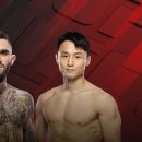 국제UFC태권도