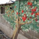 달콤한 사과이야기 이미지