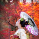 초급 일본어 회화 이미지