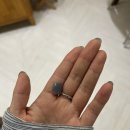 사림동233 | 창원 가로수길 ,용호동, 사림동 근처 네일샵 추천 /또봐, 네일