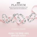 미니골드 - 강릉시 대학길 8 | 미니골드