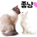 에뿌제살롱네일