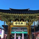 [나들이/강남] 봉은사 방문 후기: 미륵대불 & 연회다원 탐방, 겨울밤 사찰 산책