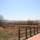 월성리마을회관 이미지