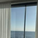 오릿(Orit) 이미지