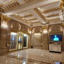 호텔스페셜 | 롯데호텔서울 피에르가니에르 연말 크리스마스 스페셜 디너 식사 후기