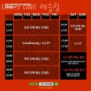 ONLY ONE 레슬링 이미지