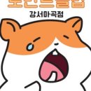 로던트클럽 강서마곡점 이미지