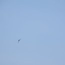 너울공원 이미지