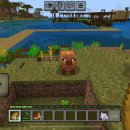 김정우 농장 이미지