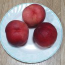 차돌농장 이미지