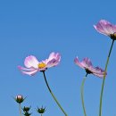 드림파크 이미지