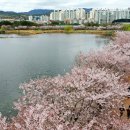 수원-1228 이미지