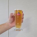 나이스유통 | [중국 맥주] 칭다오 특산물! 칭다오 원장(青岛啤酒 原浆 ) 맥주와 전용잔 구입, 후기