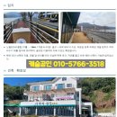 회진로 네이버블로그