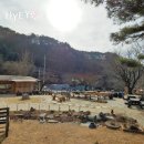 주주산방민박 네이버블로그