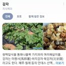 감자의 꽃말을 아세요? 이미지