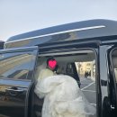 안전카서비스 | 웨딩카렌트 고민 끝! 카니발하이리무진으로 완성하는 웨딩카올데이서비스 후기