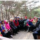 남산공원길1 이미지