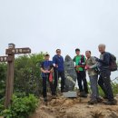 Y대청호텔 | 230723 합천 남산제일봉-거창 Y자출렁다리 산행후기