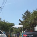 실미회식당 이미지