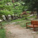 구례통나무펜션 이미지