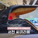 해양생태전시관 | 서천 고래고래 놀이터 국립해양생물자원관 씨큐리움 예약 및 꿀팁