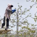 장수읍안양마을로 이미지