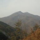 안동1리 이미지