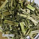 경희 고성 한의원 이미지