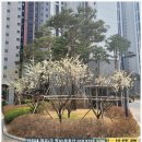 주안사랑공인중개사사무소 | 힐스테이트푸르지오주안 93타입 귀한 초~급 매물