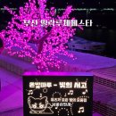 주식회사 동그라미 | 부산 수영구 광안리 빛축제 민락수변공원 빛축제 밀락루체페스타 밤산책 가볼만한 곳 뮤즈 만남 후기