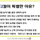 피디컬짐 이미지