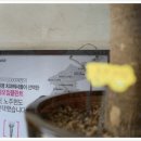 대학치과의원 이미지