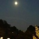 혼자뜨는별