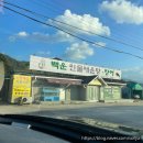 포천 더세븐 글램핑 카라반 캠핑장 꿀팁