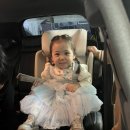 한국벨트부천대리점 | [내돈내산][주니어 카시트] 반년을 고민해서 구매한 [악스키드업 주니어 카시트]