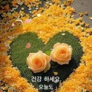 열매세탁소 이미지