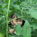 상호리마을 이미지