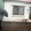 대정읍-4 이미지