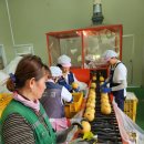 순천 거점산지유통센터 이미지