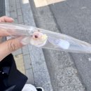 망원 눈썹 전문 망원 크림브로우 눈썹 컨설팅 속눈썹펌 받고 온 후기