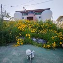 경안동 99-1 이미지