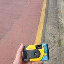 [일회용 필름카메라]코닥 데이라이트(daylight) 사진 후기