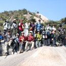 바위농장 이미지