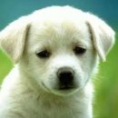 공부의습관학원