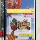 킹콩하우스 애견카페 | 구미 애견카페 핫도그하우스 플리마켓 후기 (봉곡동 하루마켓🐶)